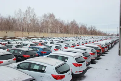 $3,5 млрд, потраченных на импорт авто, могли остаться в стране