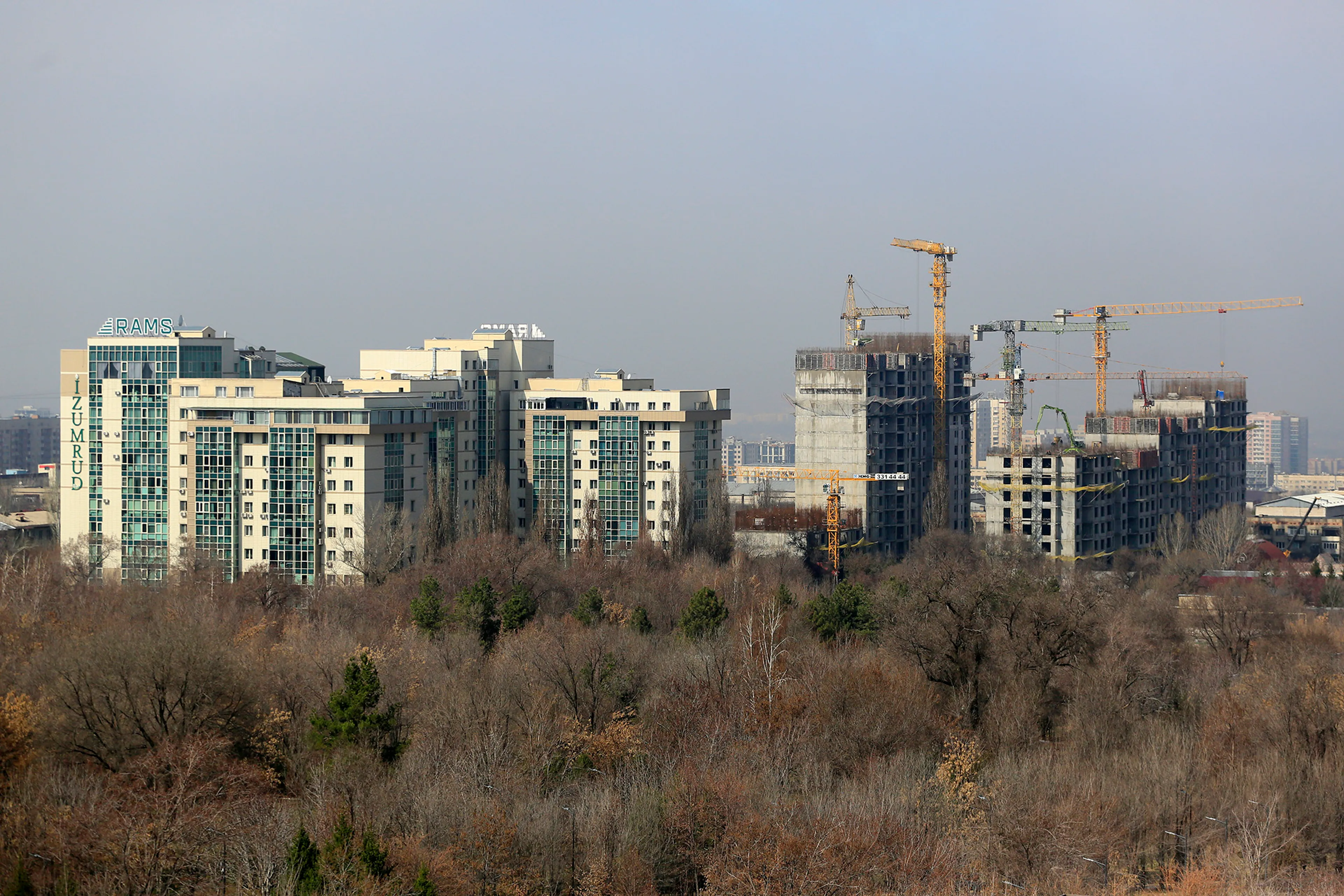 Фото: Руслан Пряников