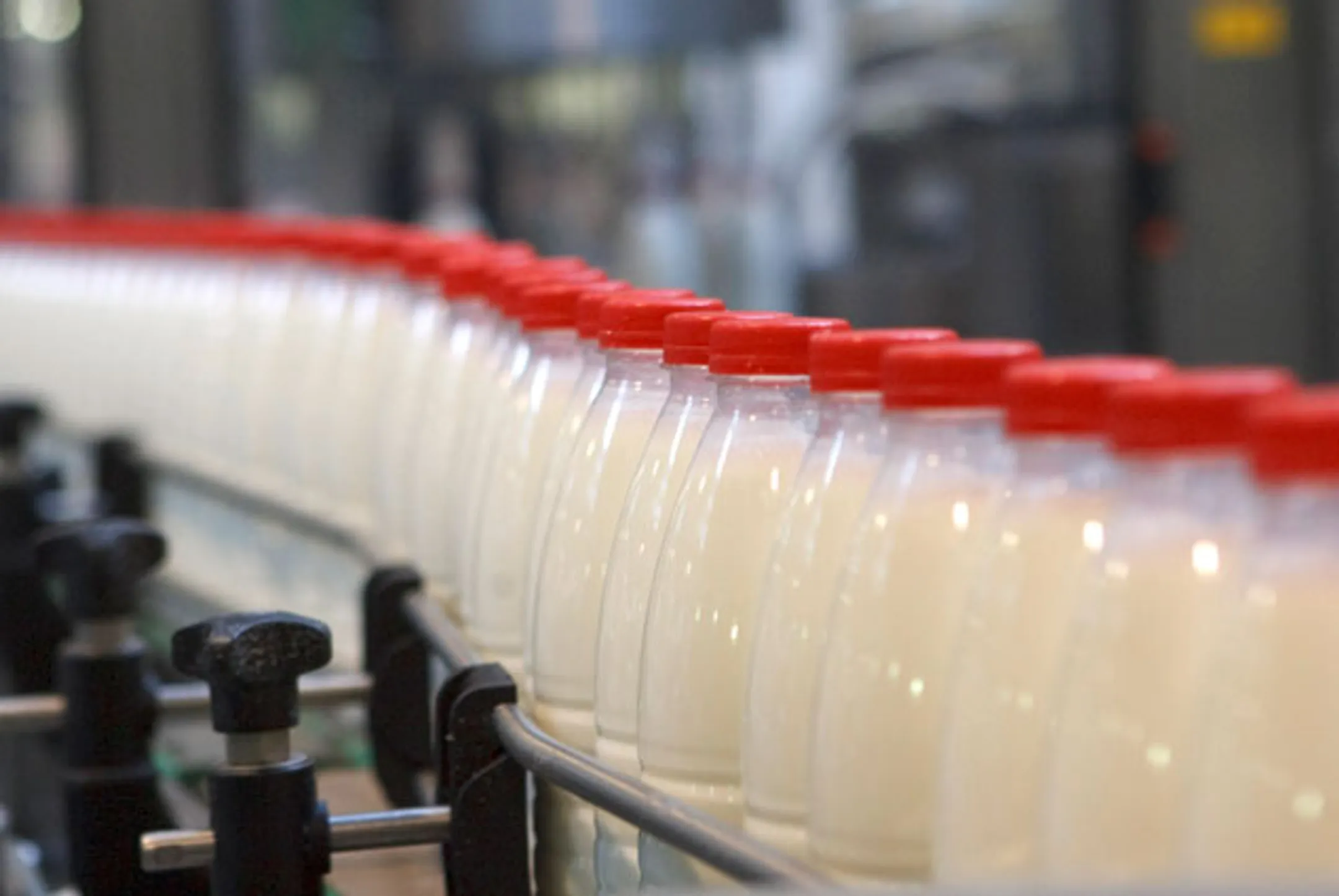 Мировые цены на молоко растут за счет спроса - Image Kapital.kz