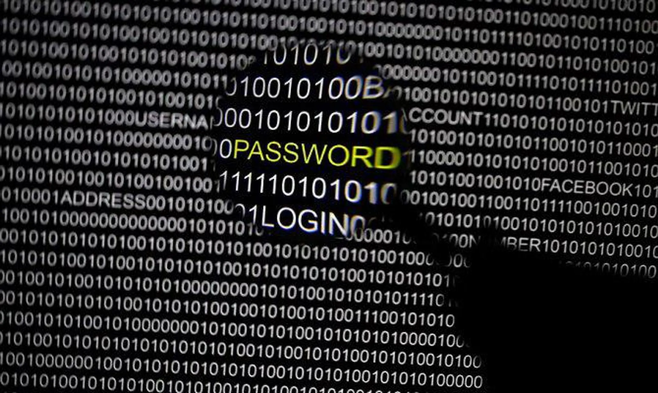 Сокращены сроки по выдаче разрешений на ввоз шифровальных средств - Image Kapital.kz