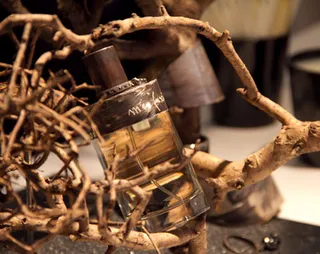 Капитал - В Милане прошла пятая выставка Esxence - The Scent of Excellence.