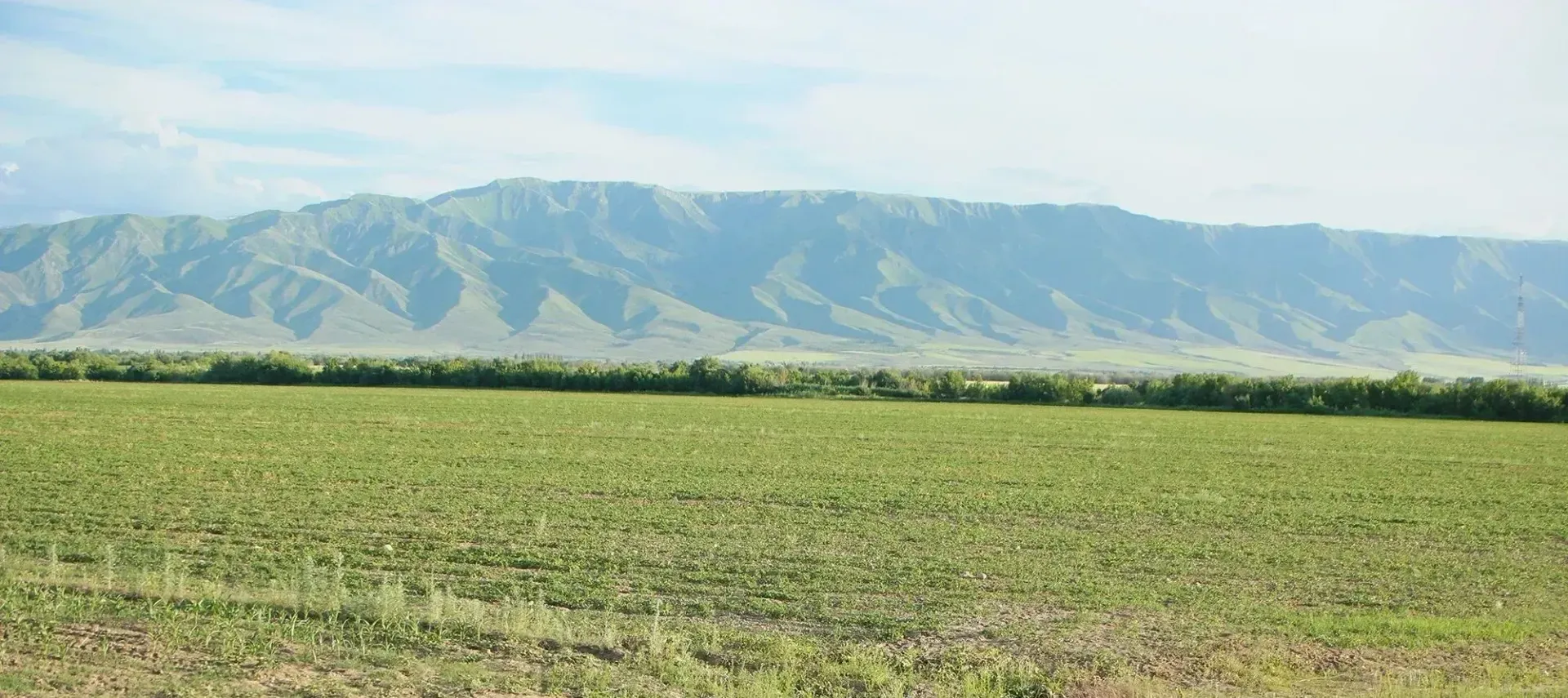 Фото: Руслан Пряников