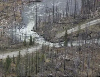 Капитал - В ВКО эвакуировали 50 человек на вертолете