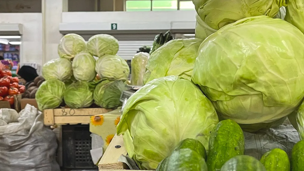 Фото: Валерия Змейкова