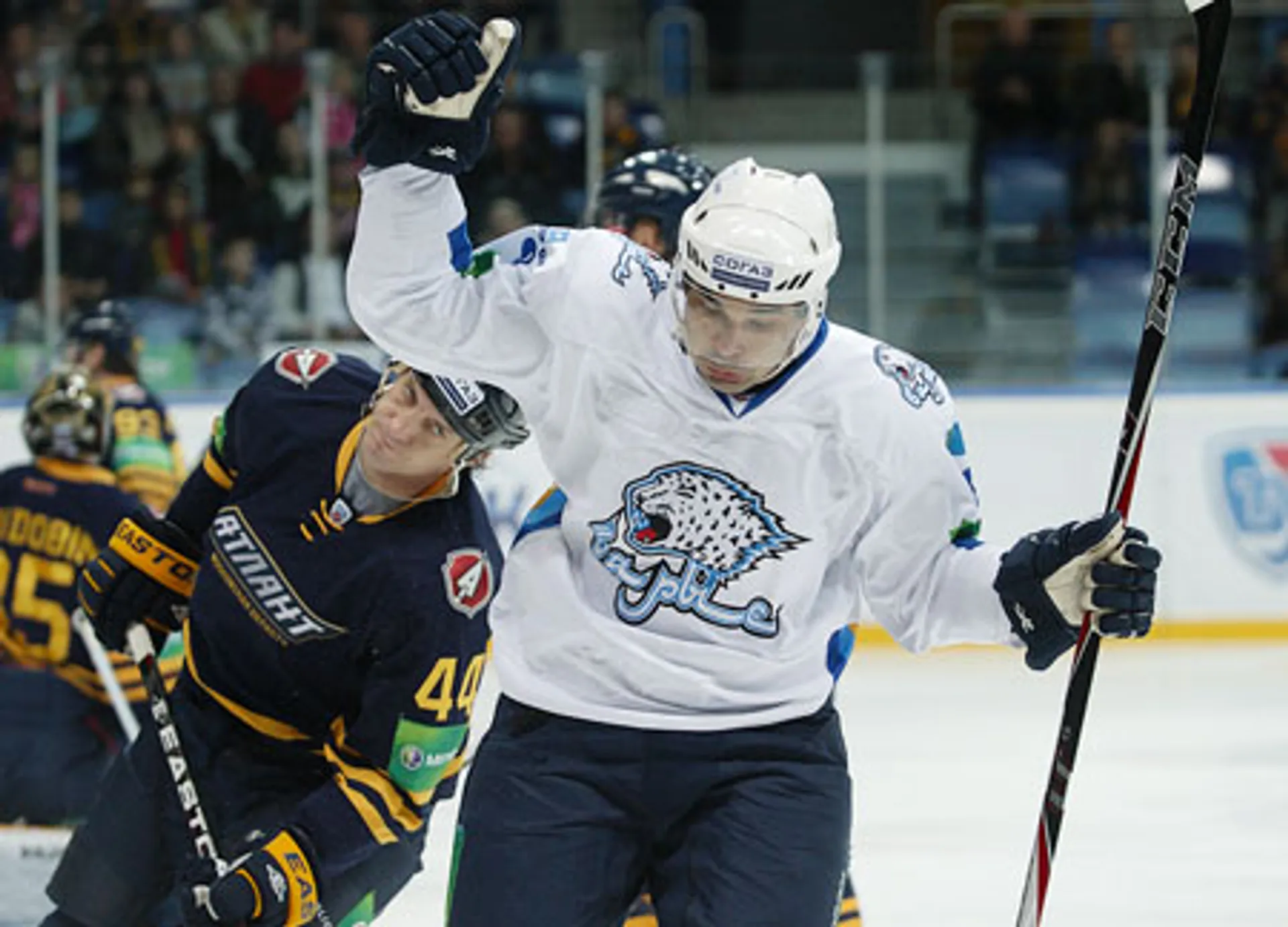 Капитал - «Атлант», заправивший крылья, и промчавшийся «Локомотив»