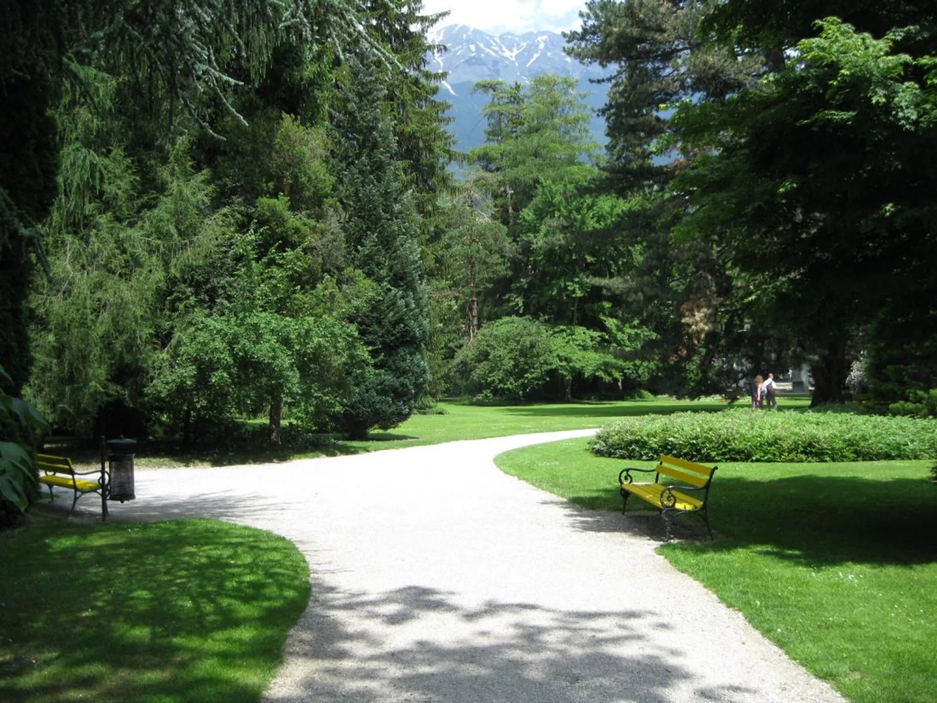 Капитал - Озеленением улиц Шымкента займутся зарубежные специалисты