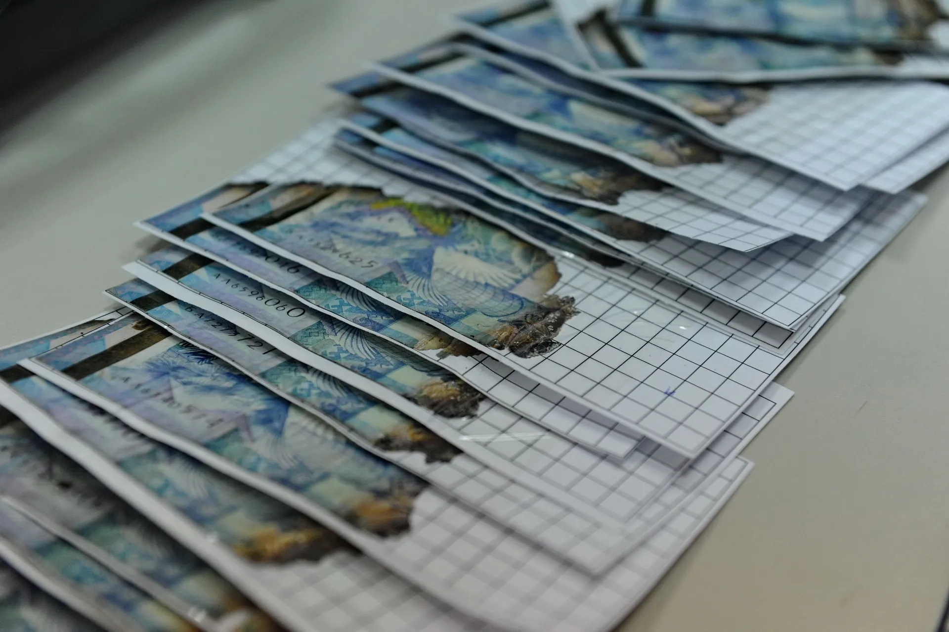 Фото: Владимир Третьяков