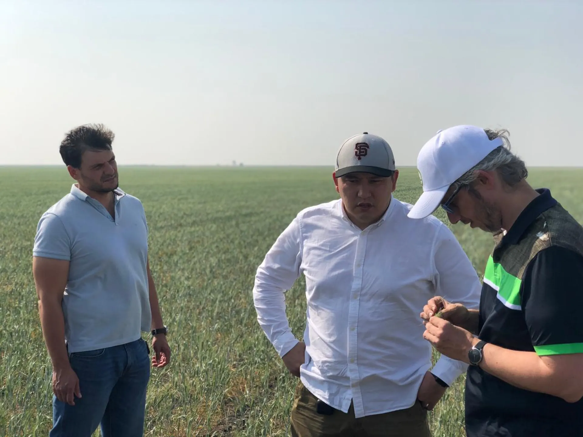 Капитал - Как застраховать посевы от засухи