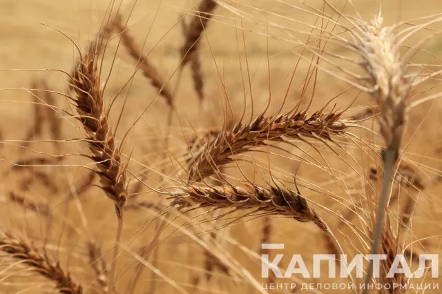 Фото: Руслан Пряников