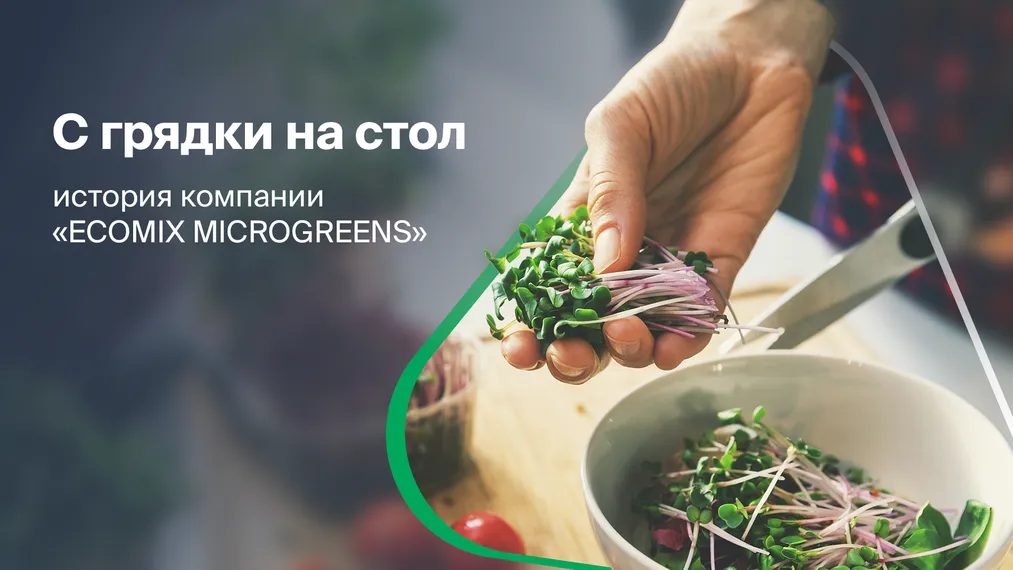 Капитал - Растущий бизнес: как микрозелень меняет городское питание