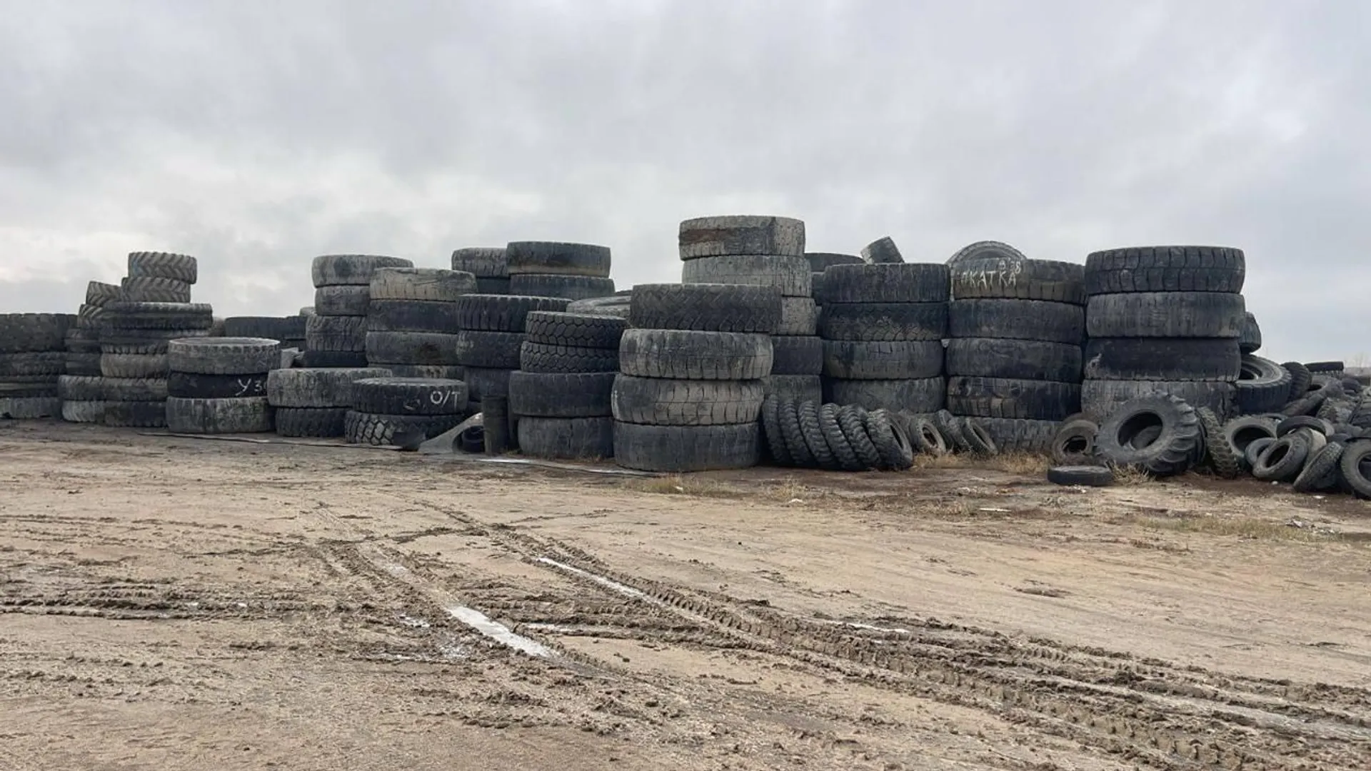 Фото: Экология және табиғи ресурстар министрлігі