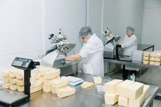 Капитал - Компания «Камертон» намерена вытеснять импорт