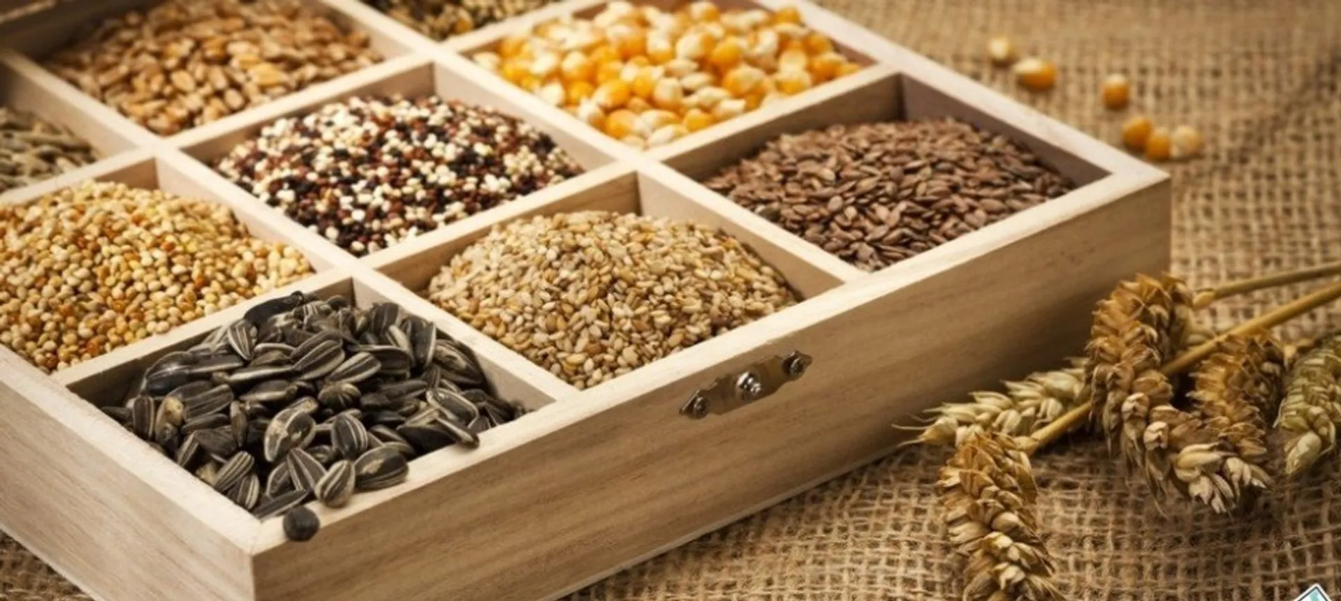 Капитал - Инвесторы вложат в развитие семеноводства $25 млн