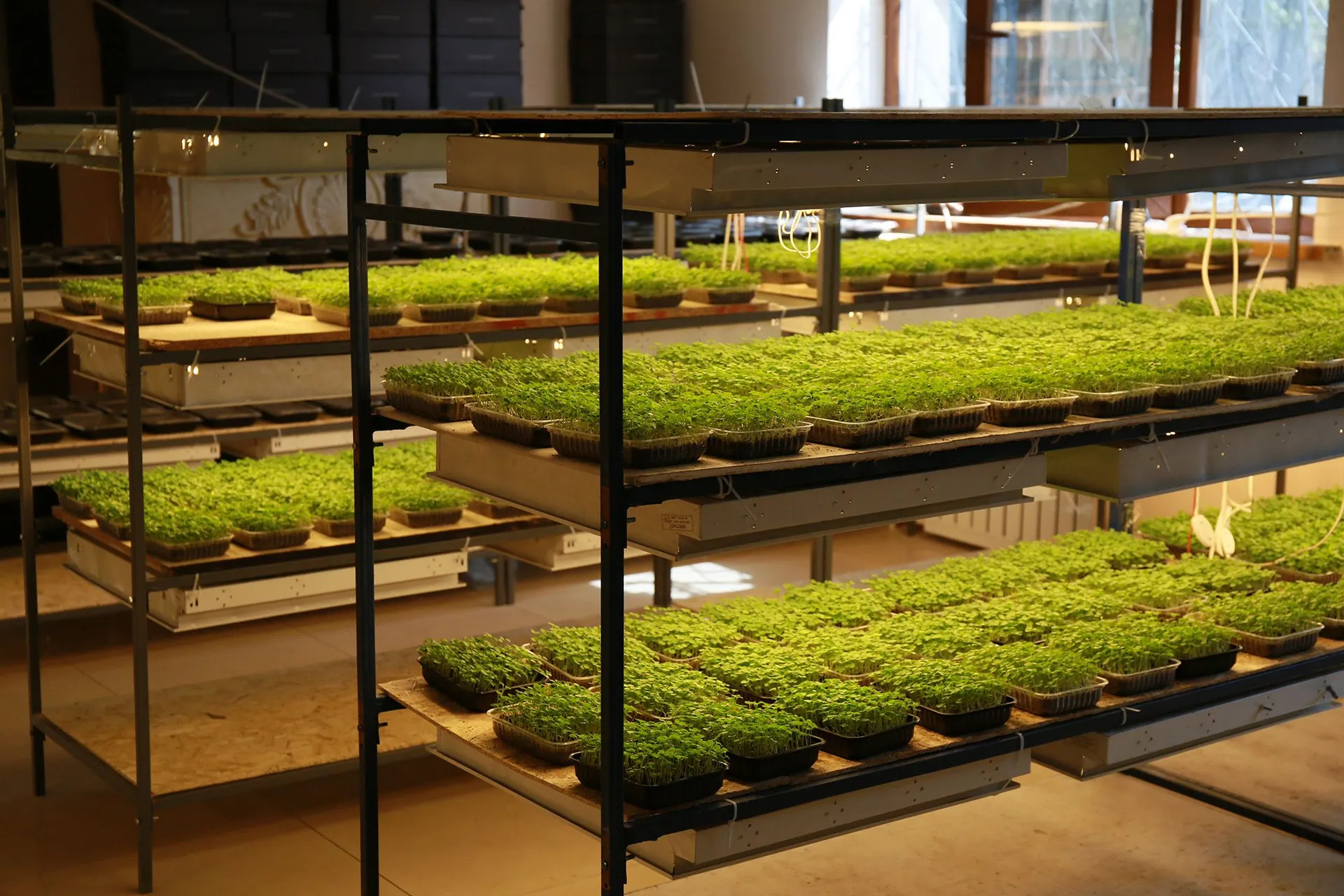 Фото: Руслан Пряников