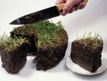 Для арендного жилья недостаточно земли