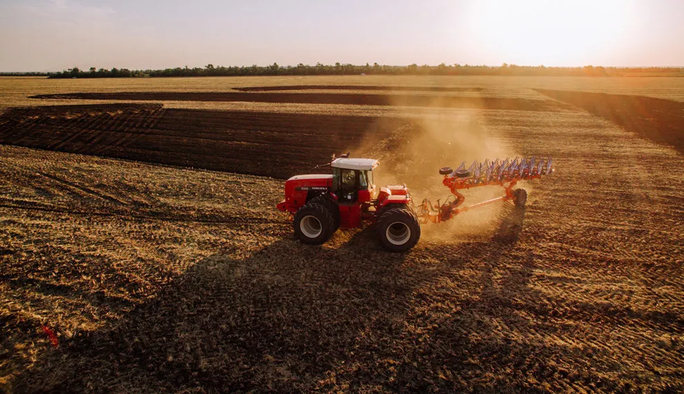 Капитал - Вице-министр сельского хозяйства дал прогноз по урожаю