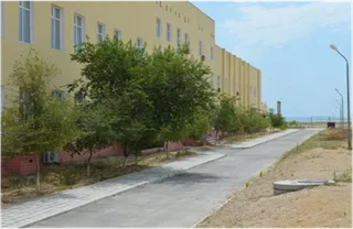 Капитал - Три зеленые программы одной сельской школы