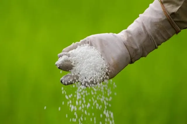Fertilizer Daily