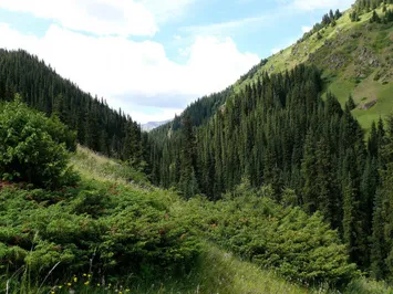 Стоимость посещения Нацпарка Алматы снизилась вдвое