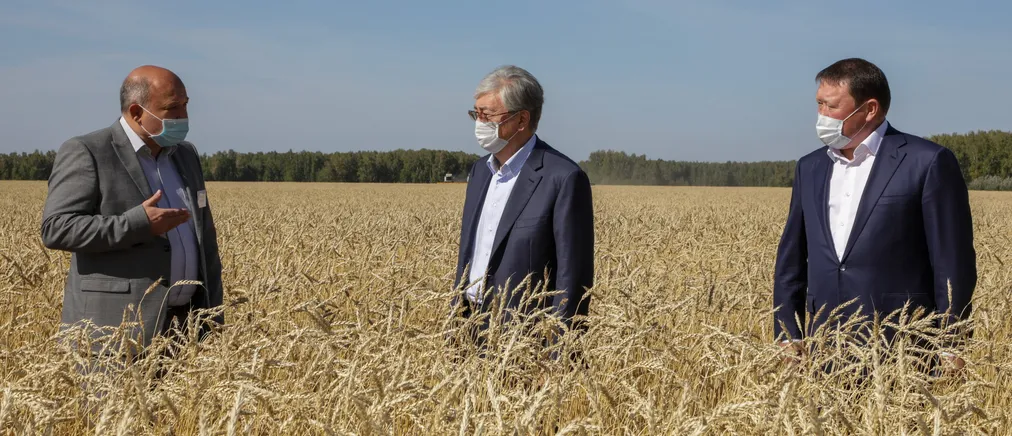 Капитал - С начала года в аграрный сектор СКО привлекли 61 млрд тенге