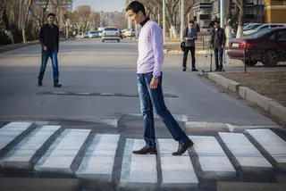 Капитал - Первая объемная зебра в 3D появилась в Павлодаре