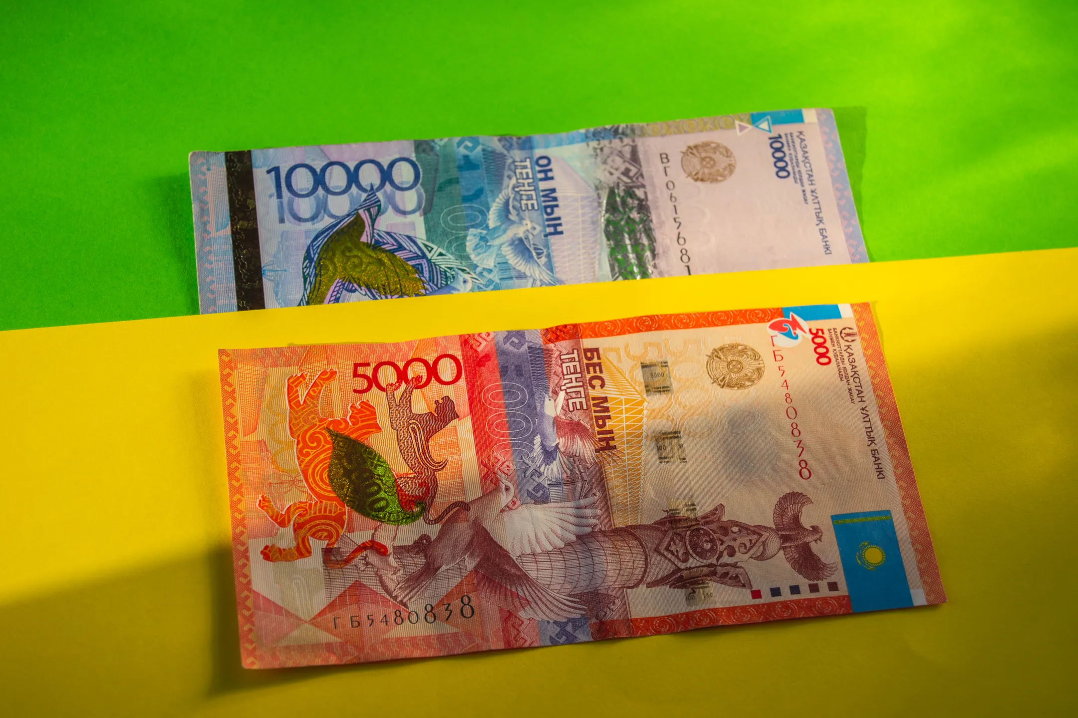 Фото: Валерия Змейкова