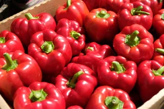 Капитал - Кризис кредитованию аграриев не помеха