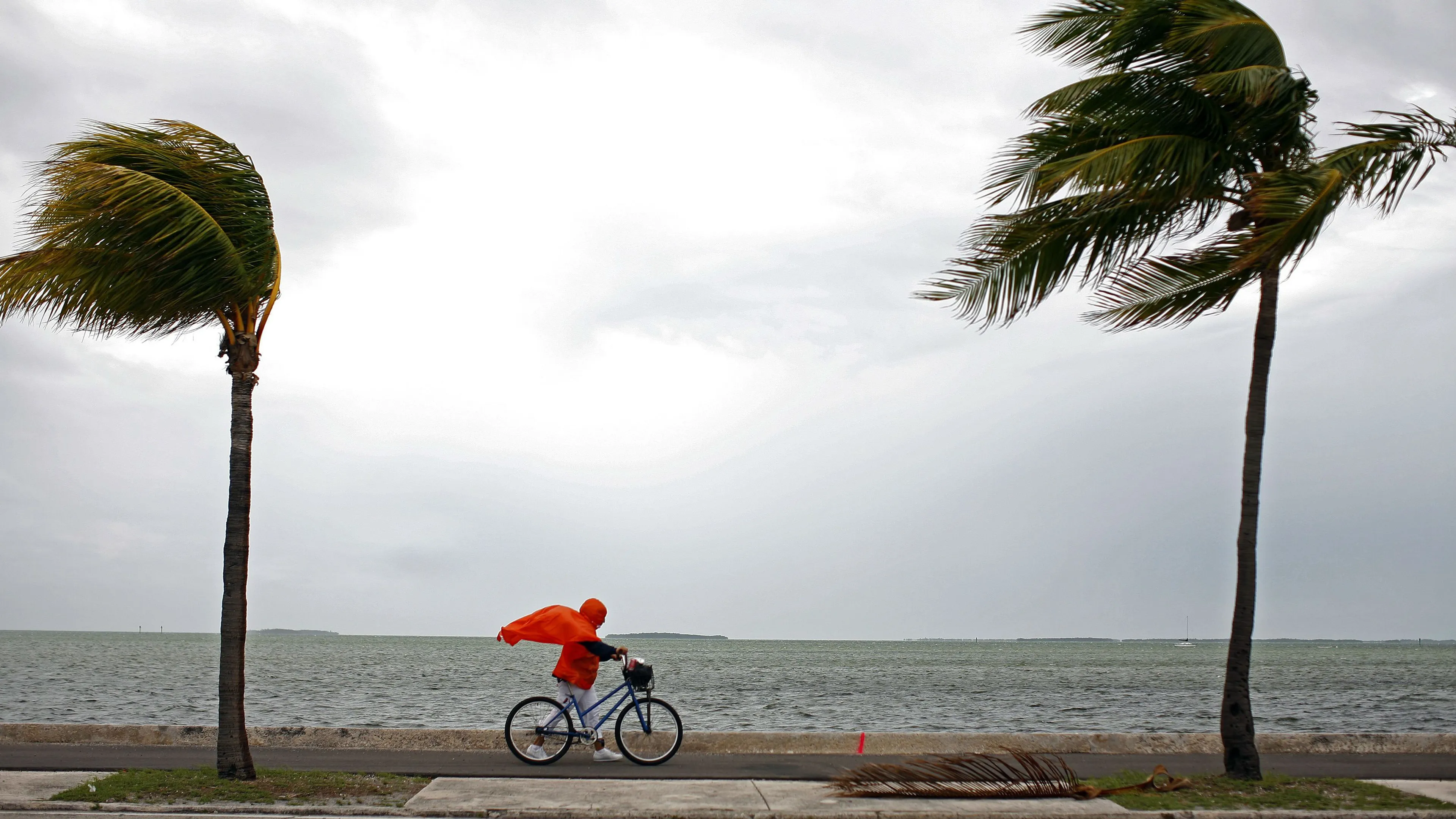 Капитал - К Флориде приближается ураган Ирма