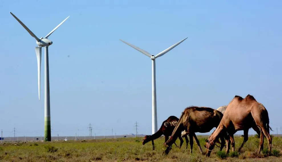 Капитал - В Мангистауской области – серьезные планы по развитию зеленой энергетики
