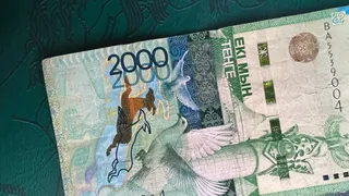 Фото: Валерия Змейкова