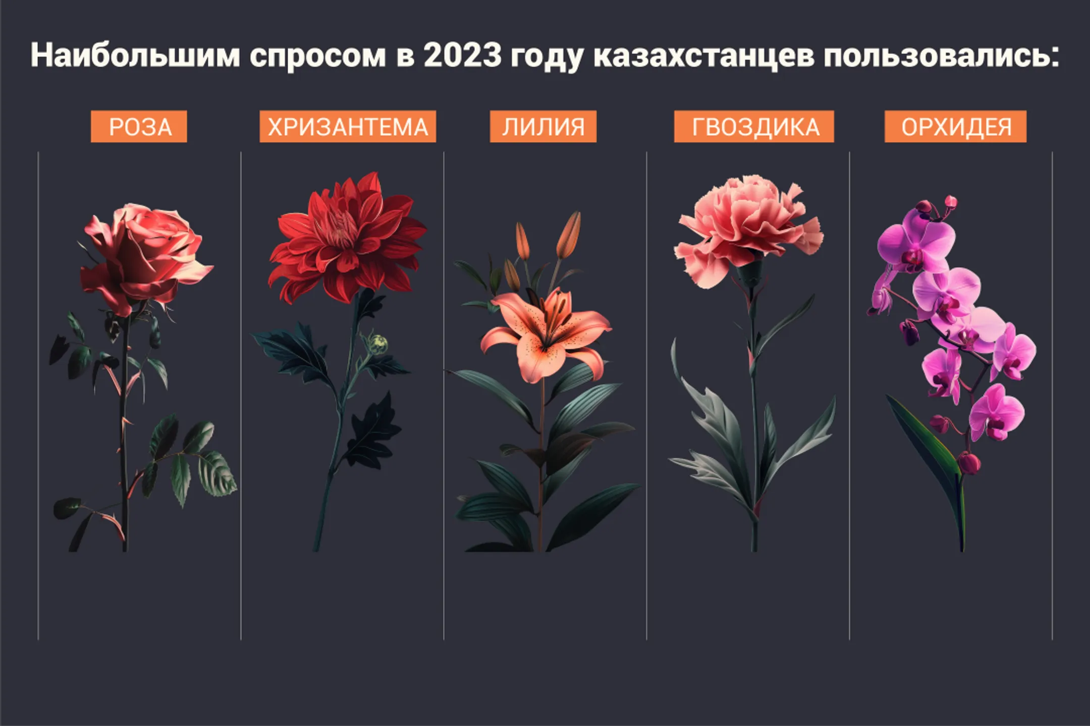 Изображение Kapital.kz
