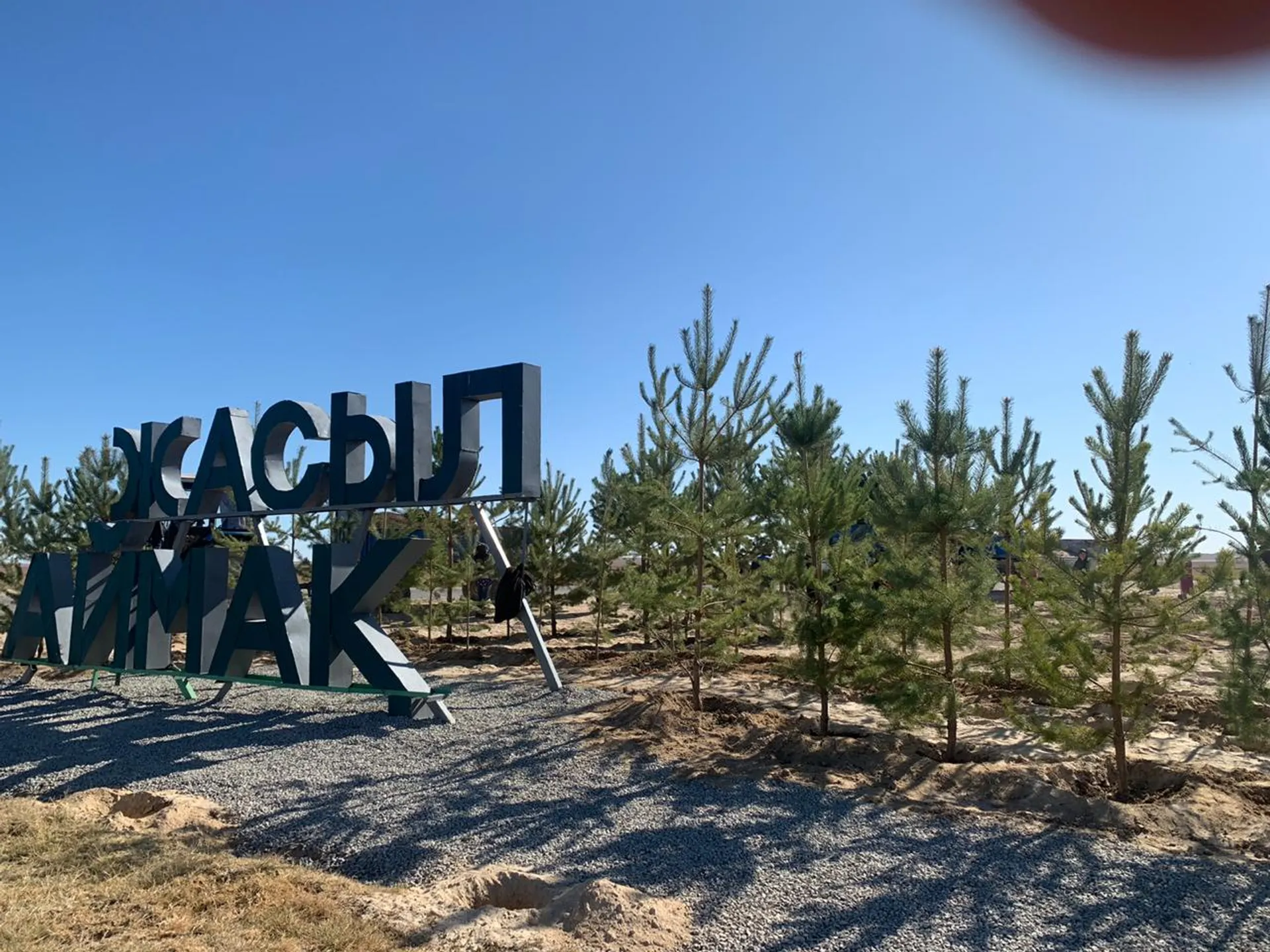 Капитал - Вокруг Туркестана появится «зеленый пояс»