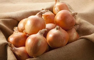 Все для фермеров