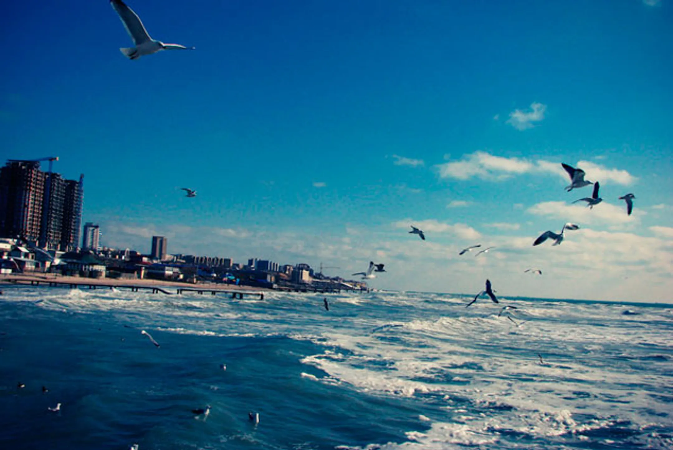 Каспий делят на пятерых - Image Kapital.kz