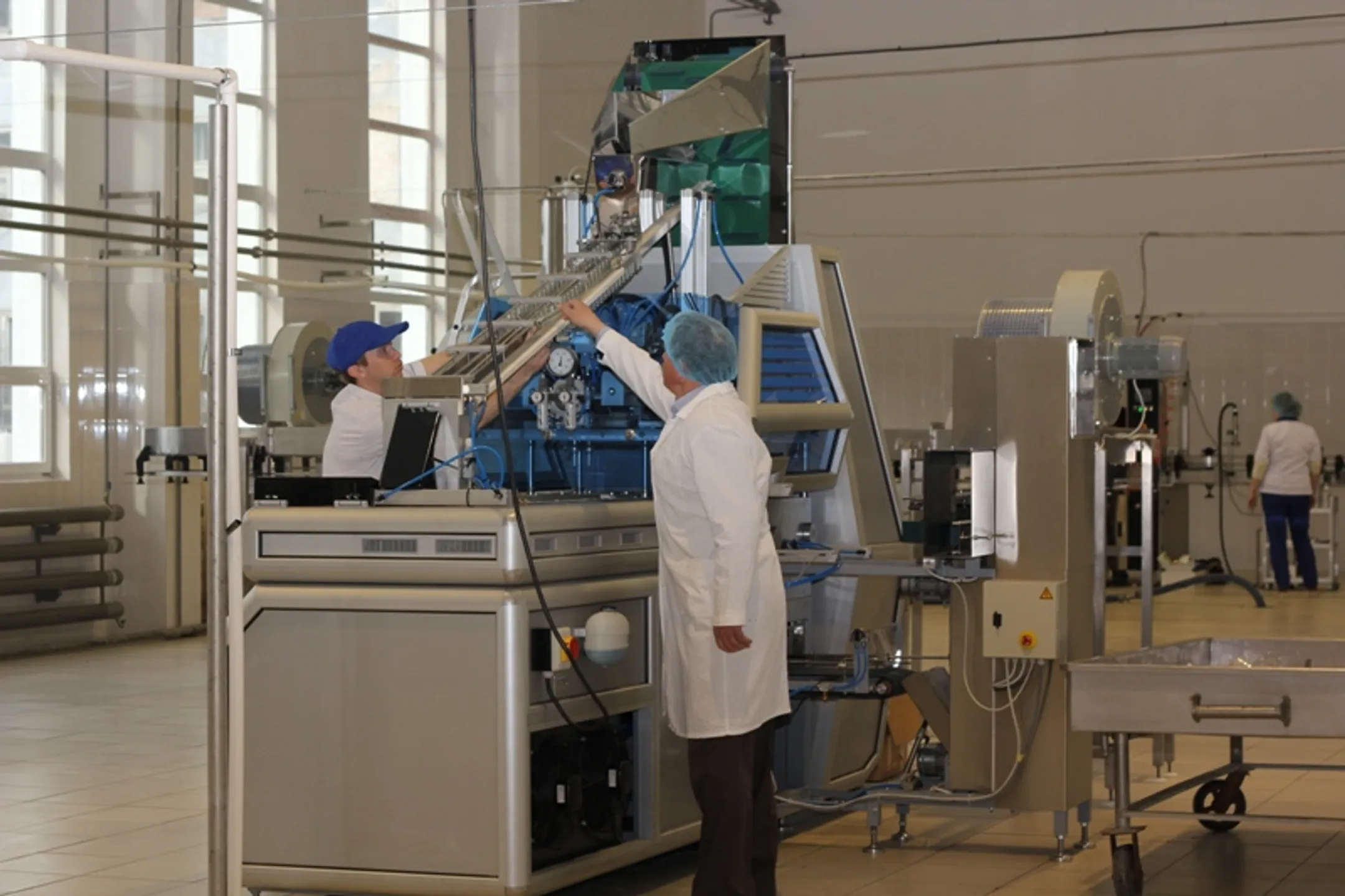 В Кызылординской области увеличат экспорт соли, риса и рыбы - Image Kapital.kz