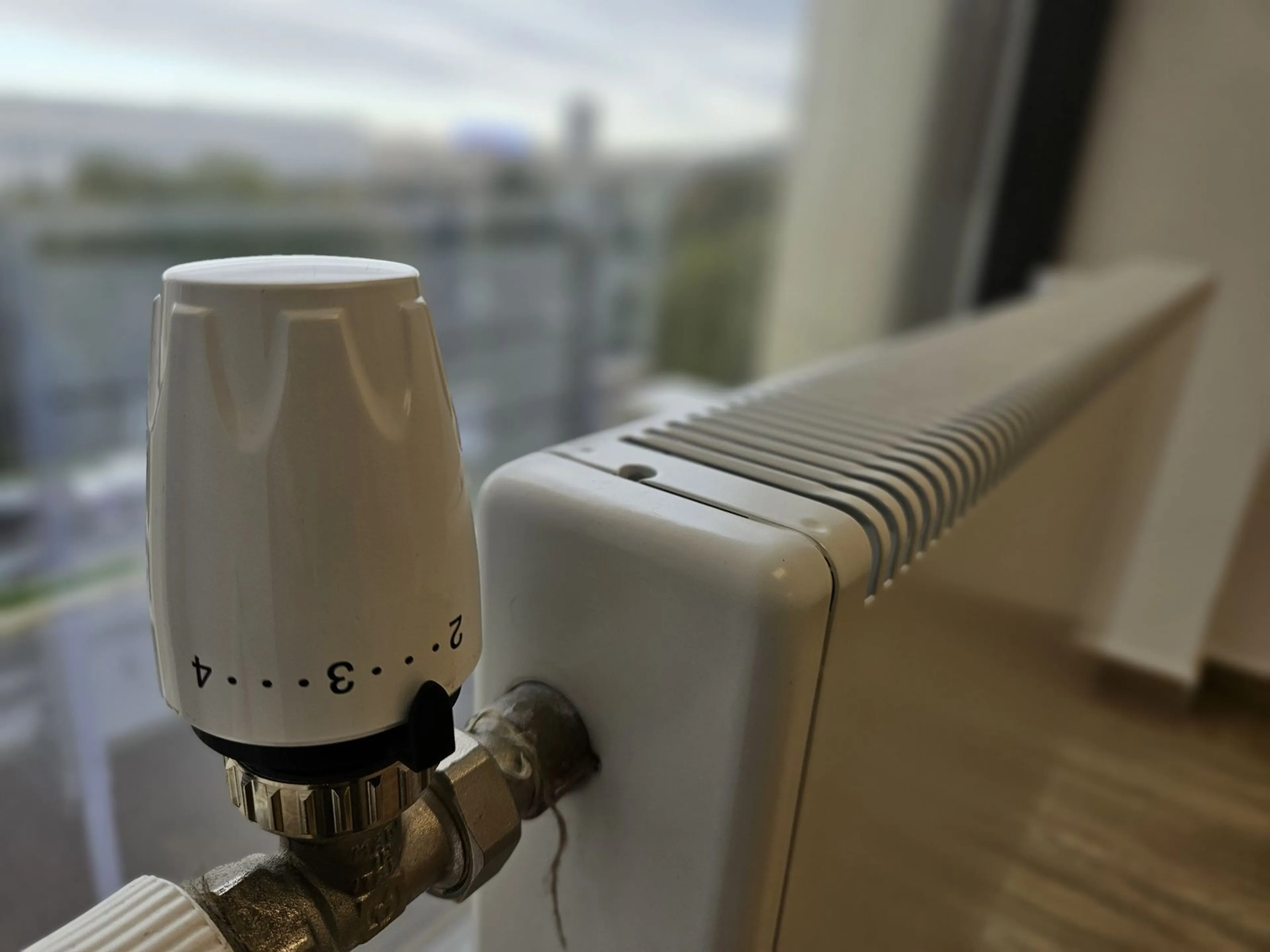 Фото: акимат Алматы