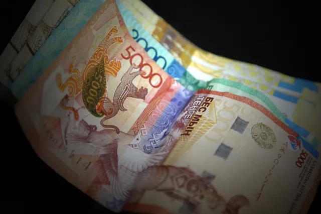Доля теневой экономики в РК равна 28,6% от ВВП