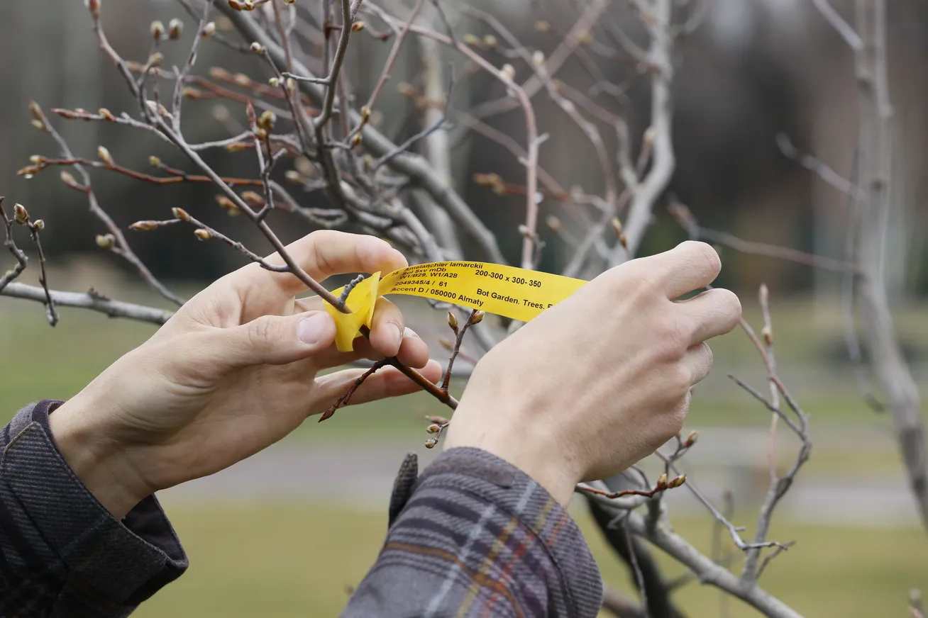 Стоимость билетов в Ботанический сад Алматы вырастет - фото kapital.kz