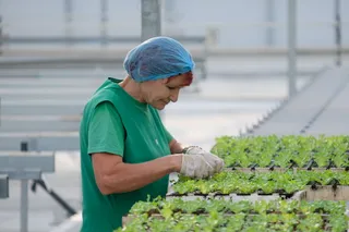 Капитал - Сколько проектов по ДКБ реализовано в Актюбинской области