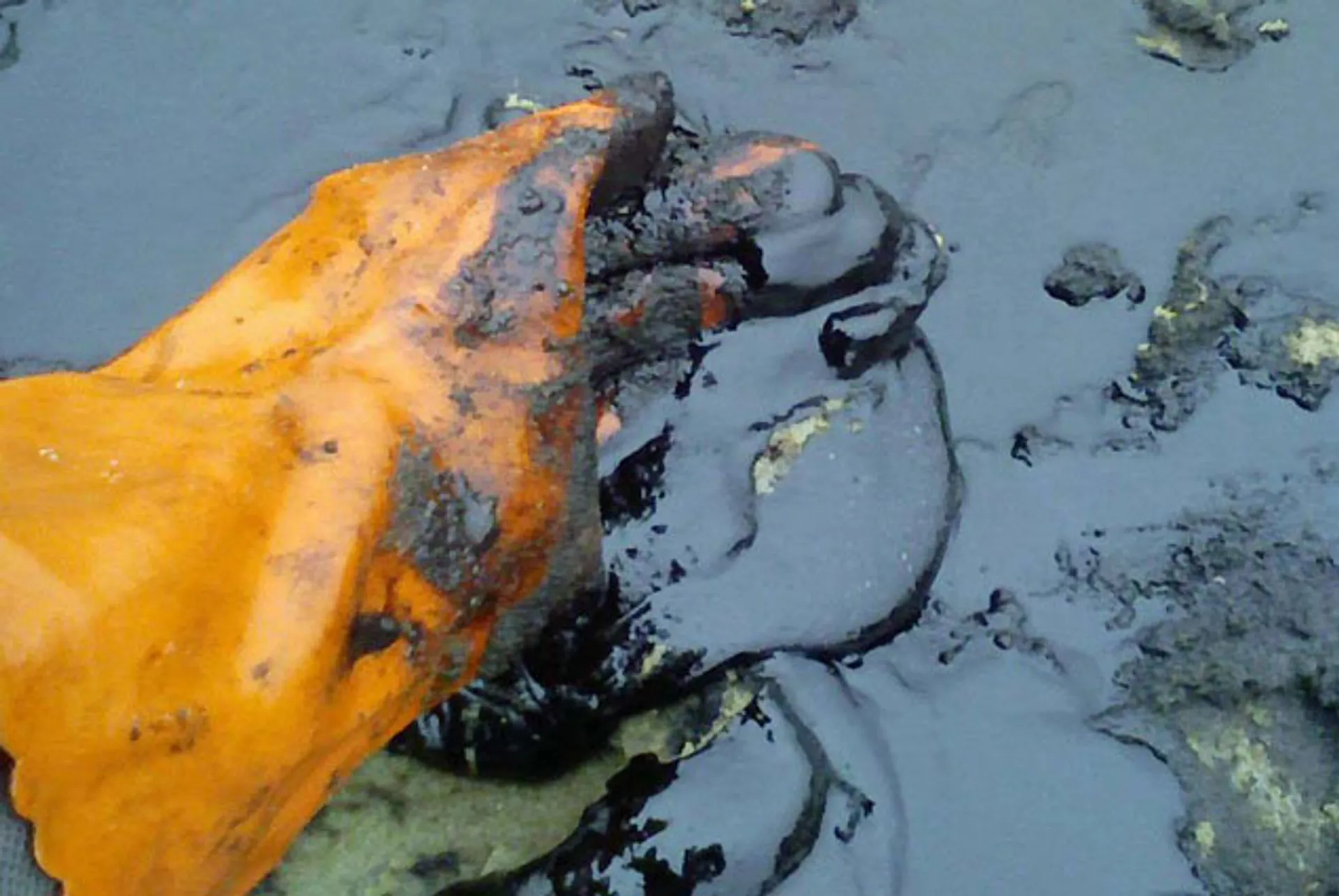 Капитал - Нефтегазовые корпорации США и ЕС намерены вернуться в Иран