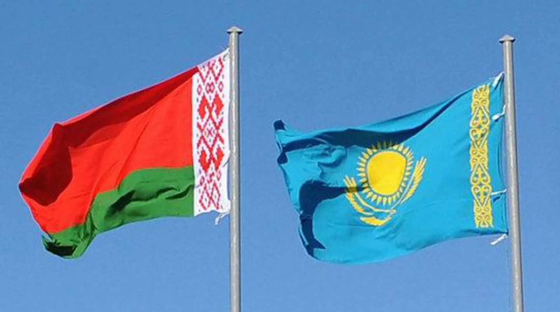 Капитал - Беларусь и Казахстан планируют создать СП по производству ветеринарных препаратов