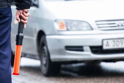 Жезлы полицейским не вернут