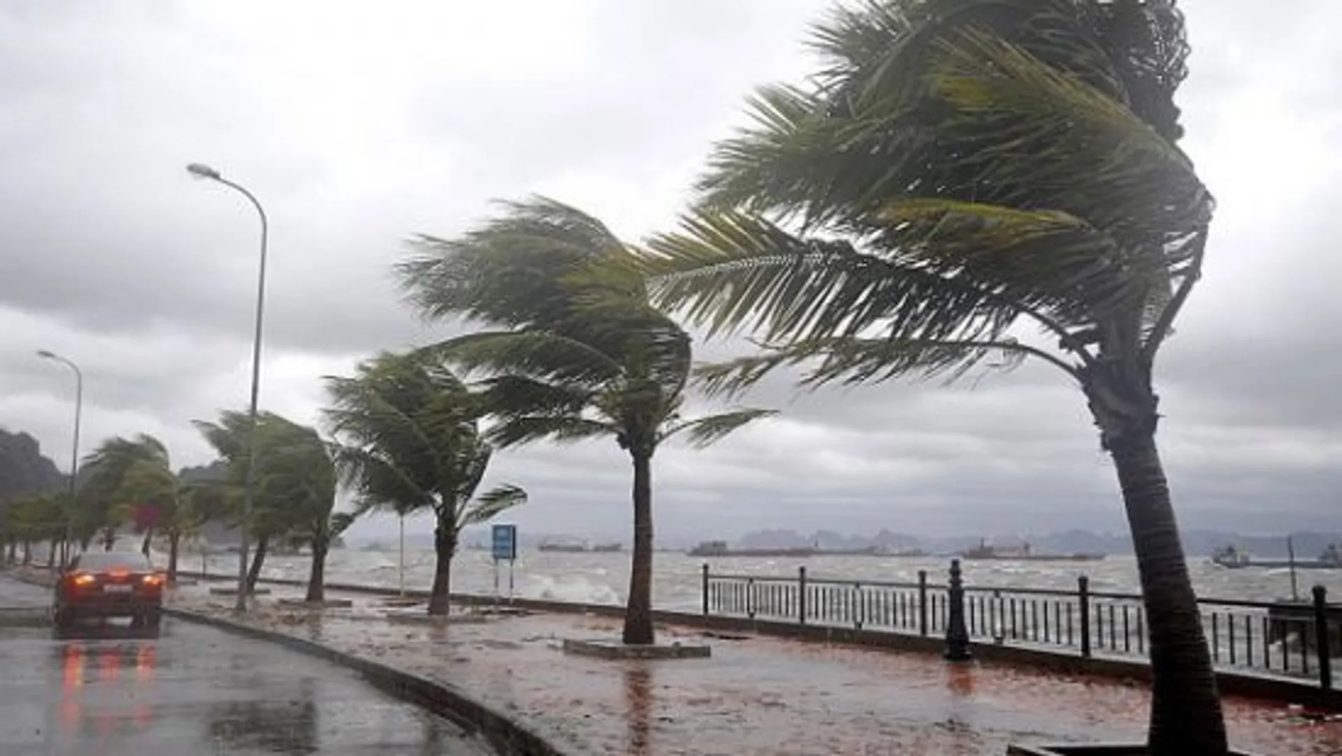 Капитал - В Гонконге более 200 человек пострадали от тайфуна «Мангхут»