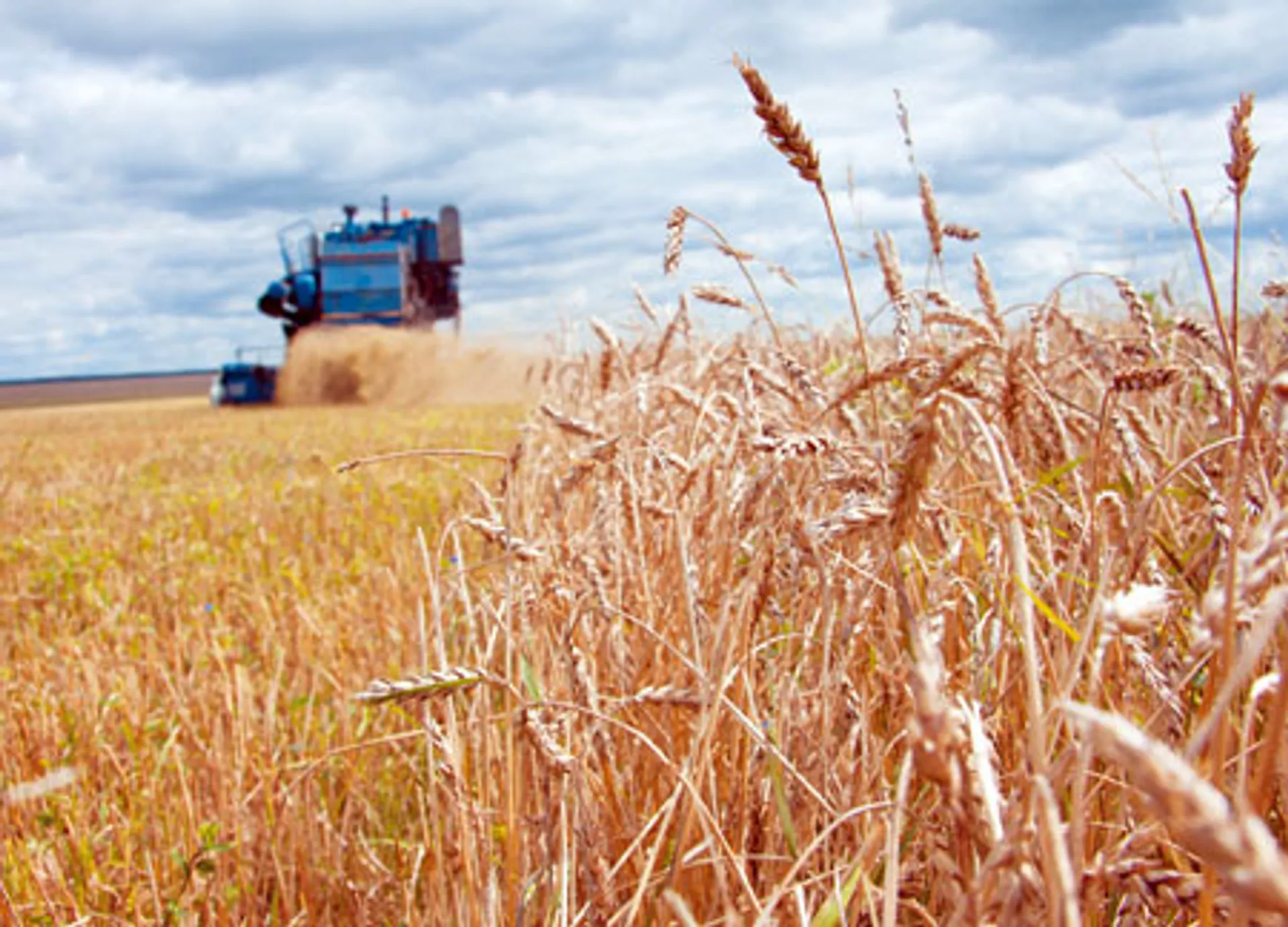 Капитал - Зерно: стабильность только снится