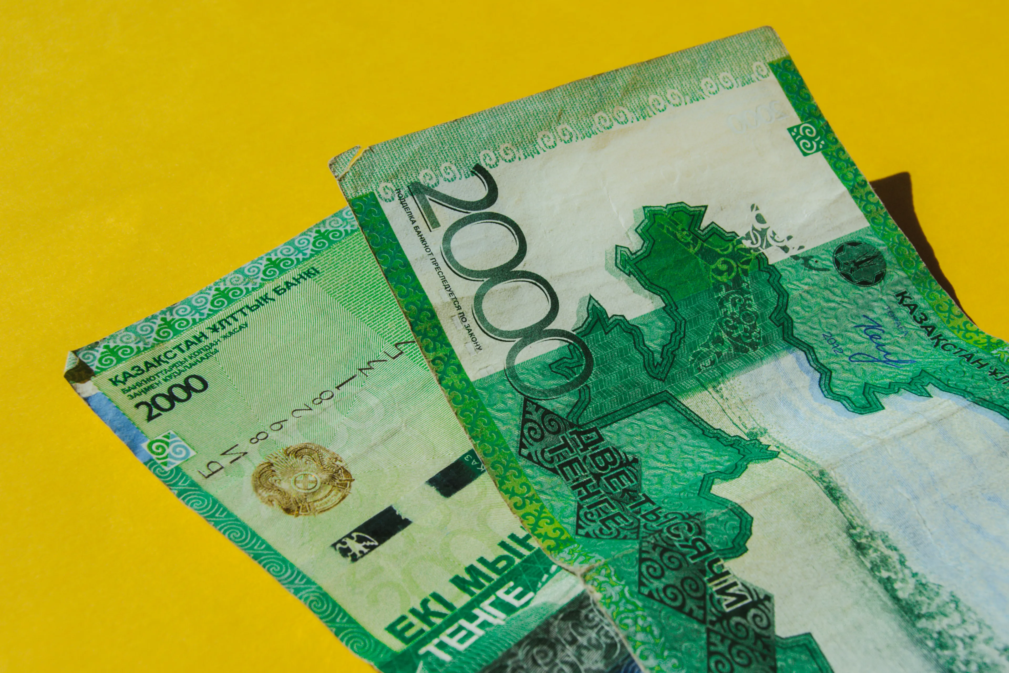 Фото: Валерия Змейкова