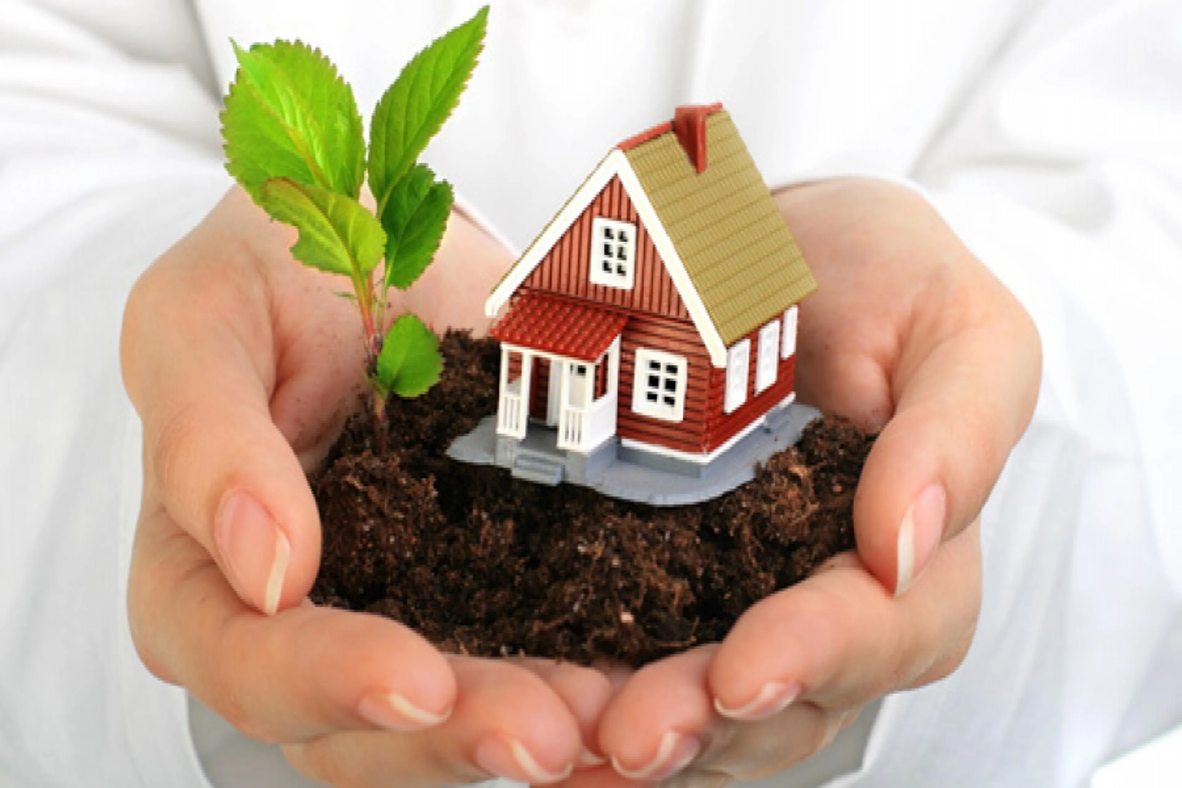 Капитал - Срок оформления земельного участка составит около 30 дней