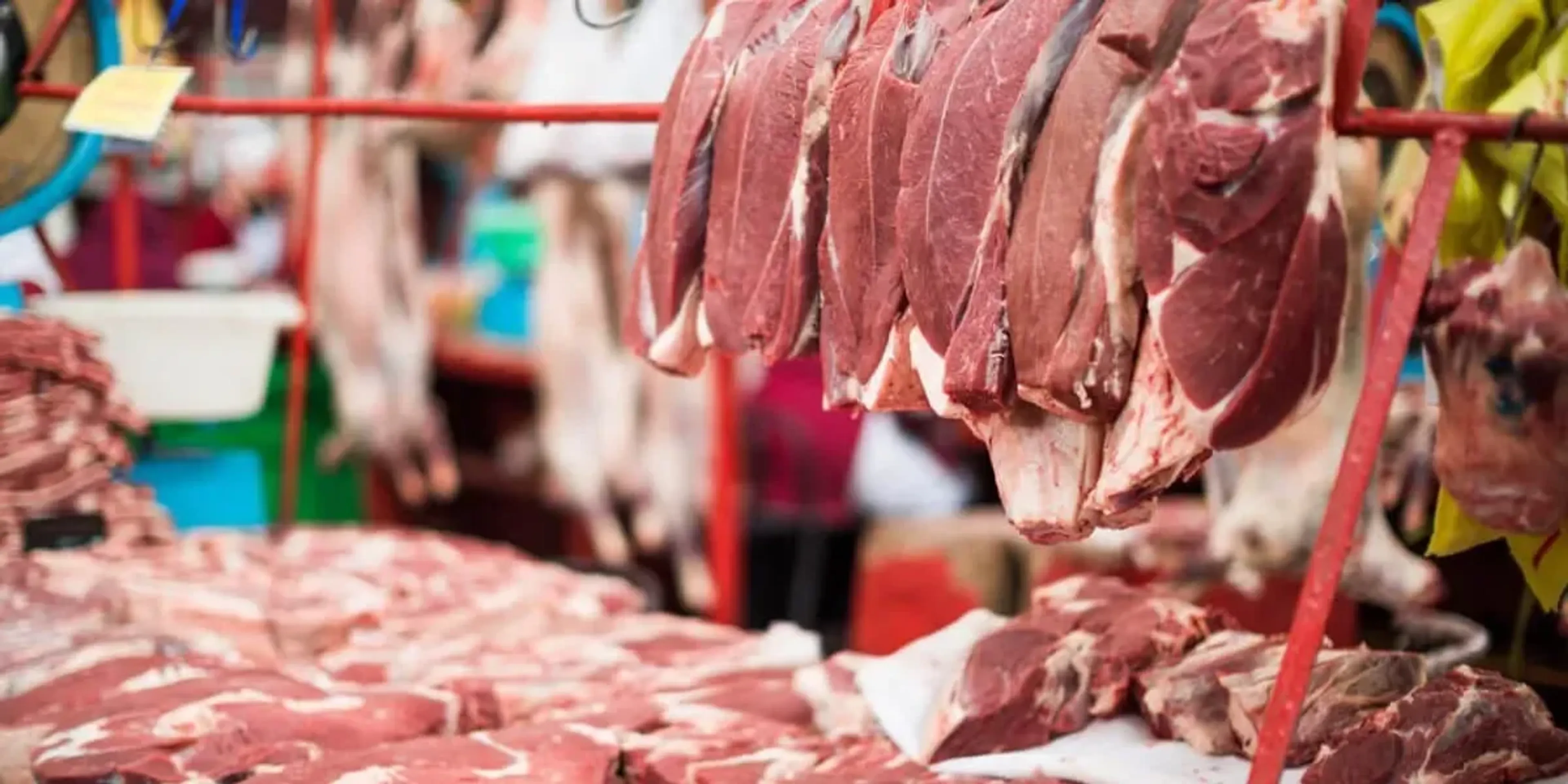 Фото: economist.kg