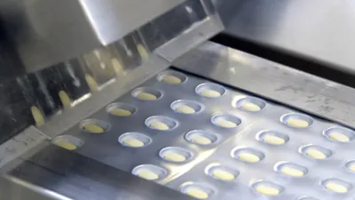 Фото: Владимир Третьяков 