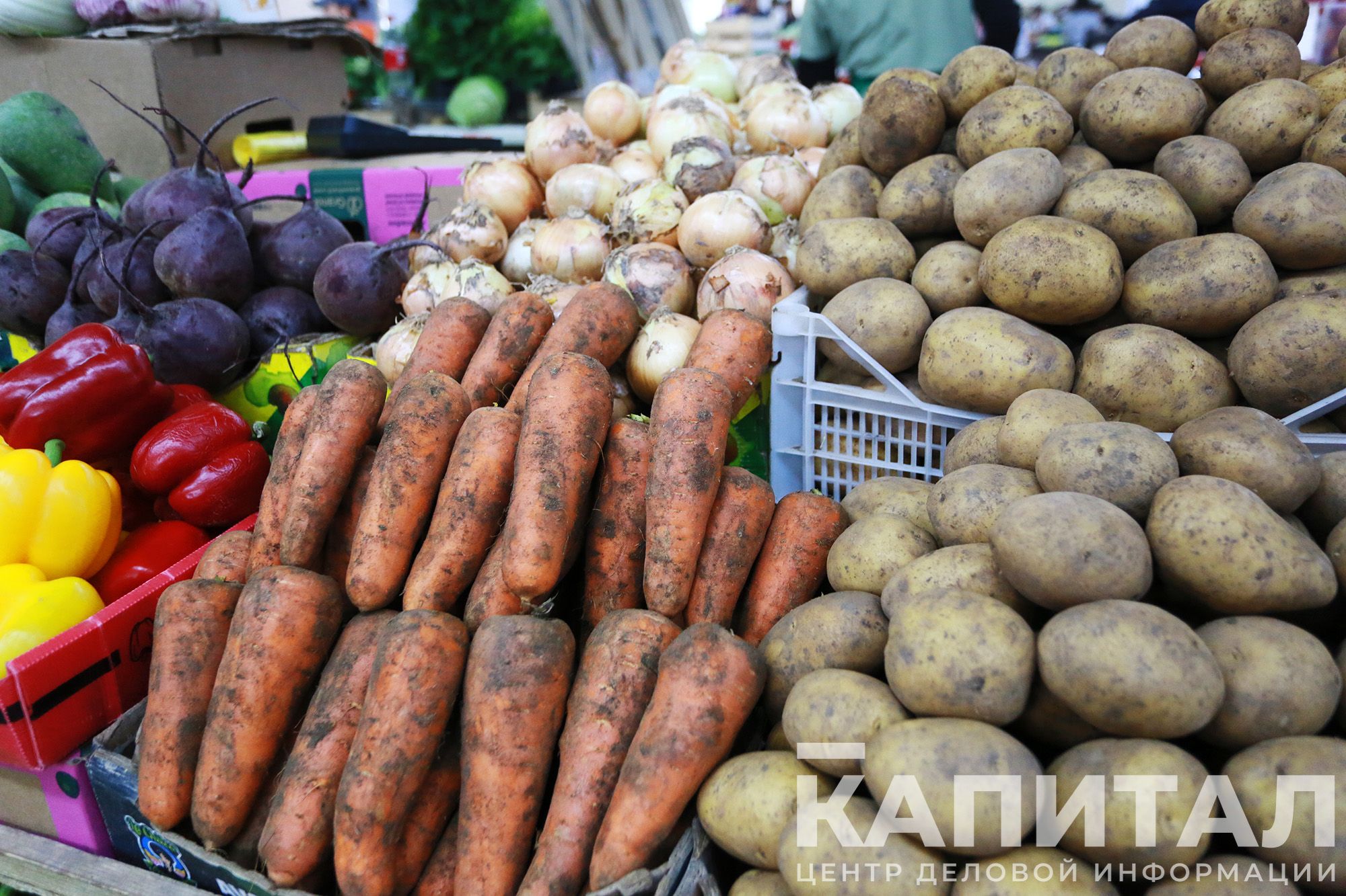 Фото: Руслан Пряников