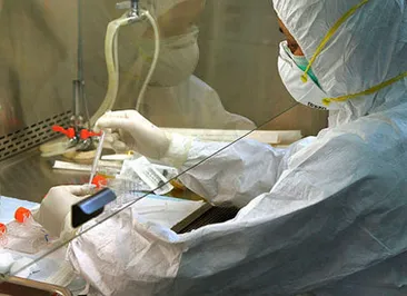 Птичий грипп H7N9 угрожает перерасти в пандемию